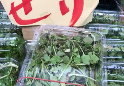 KIYOの身辺雑記　～クレソンとせりのこと～